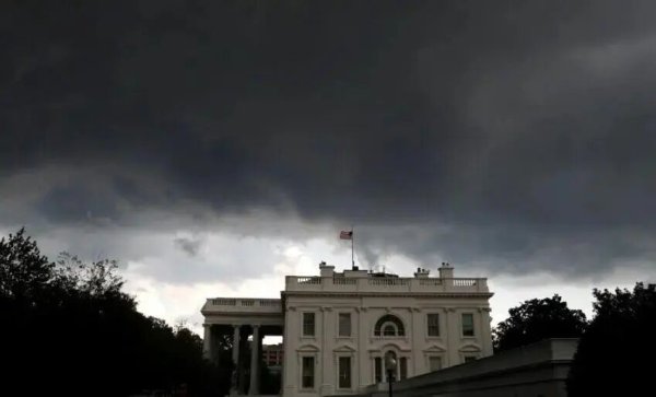 小麦策略 特朗普称对华加征关税？华尔街分析师称他“总是退缩”（TACO）！